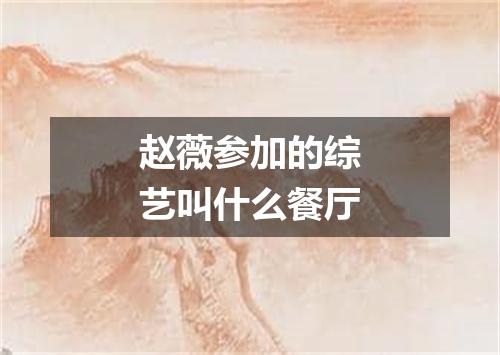 赵薇参加的综艺叫什么餐厅