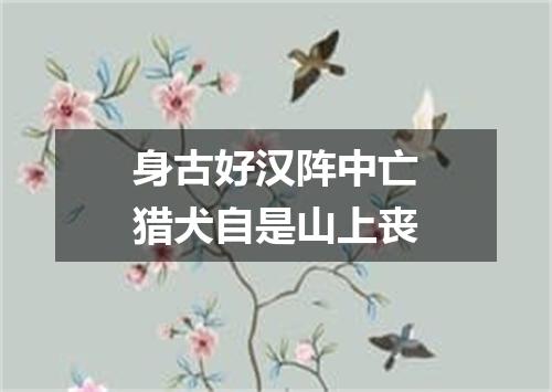 身古好汉阵中亡猎犬自是山上丧
