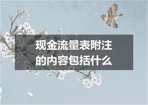现金流量表附注的内容包括什么