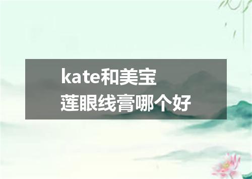 kate和美宝莲眼线膏哪个好