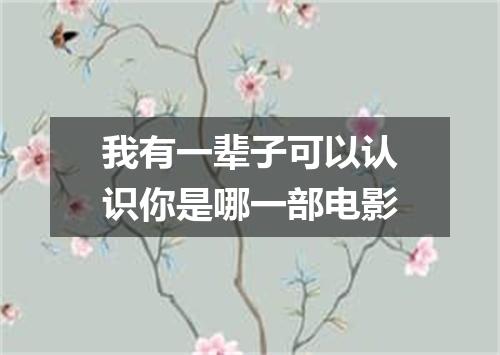 我有一辈子可以认识你是哪一部电影