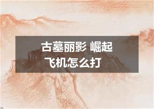 古墓丽影 崛起 飞机怎么打