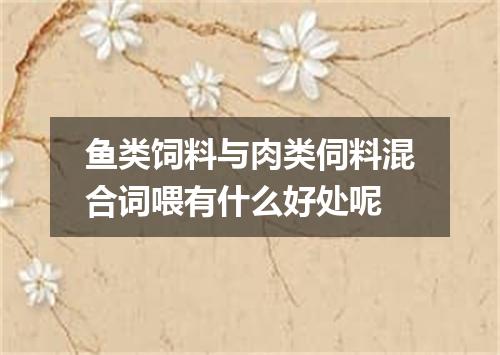 鱼类饲料与肉类伺料混合词喂有什么好处呢