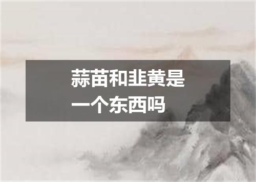 蒜苗和韭黄是一个东西吗