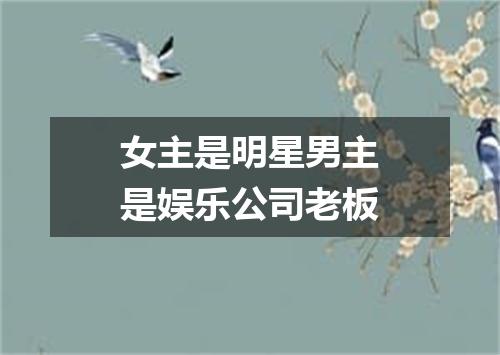 女主是明星男主是娱乐公司老板