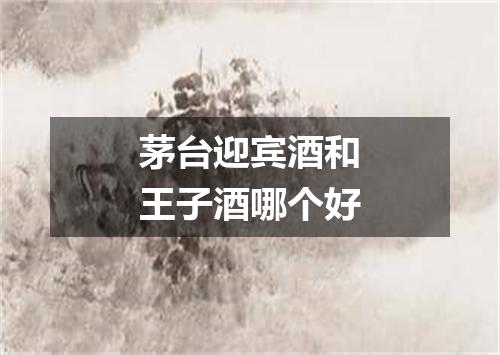 茅台迎宾酒和王子酒哪个好