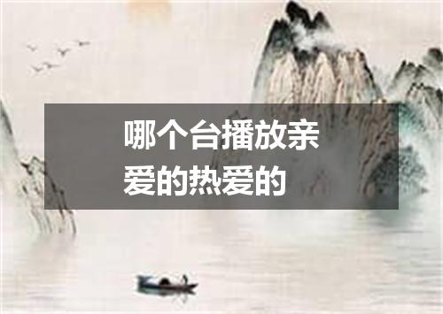 哪个台播放亲爱的热爱的