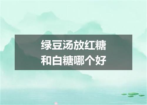 绿豆汤放红糖和白糖哪个好