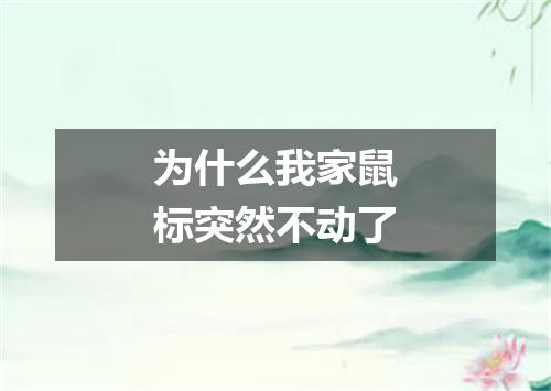 为什么我家鼠标突然不动了