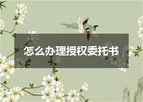 怎么办理授权委托书