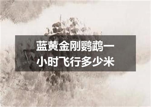 蓝黄金刚鹦鹉一小时飞行多少米