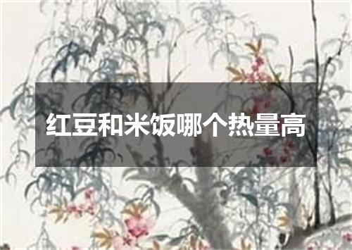 红豆和米饭哪个热量高