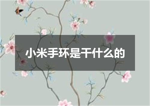 小米手环是干什么的