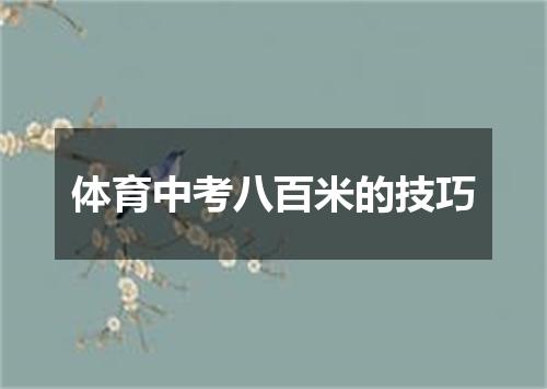 体育中考八百米的技巧