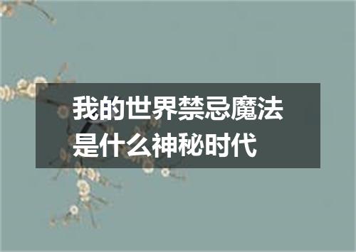 我的世界禁忌魔法是什么神秘时代