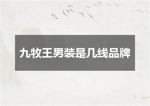 九牧王男装是几线品牌