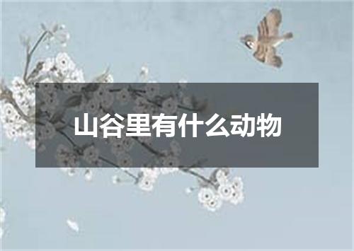 山谷里有什么动物