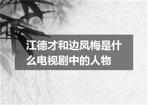 江德才和边凤梅是什么电视剧中的人物