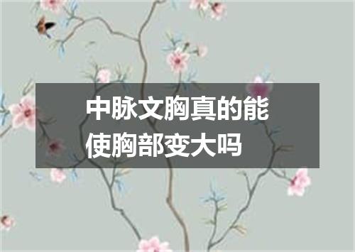 中脉文胸真的能使胸部变大吗
