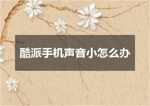 酷派手机声音小怎么办