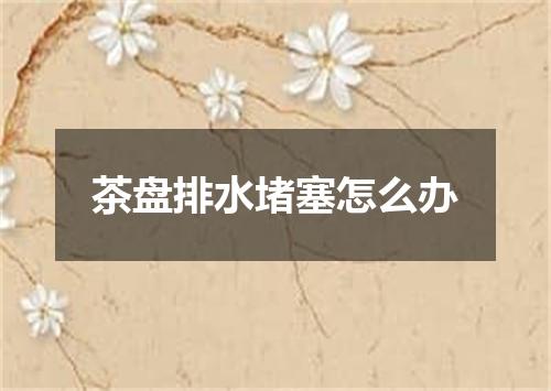 茶盘排水堵塞怎么办