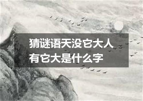 猜谜语天没它大人有它大是什么字