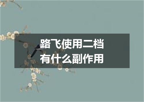 路飞使用二档有什么副作用