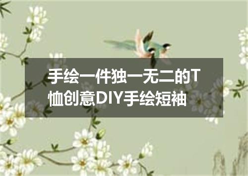 手绘一件独一无二的T恤创意DIY手绘短袖
