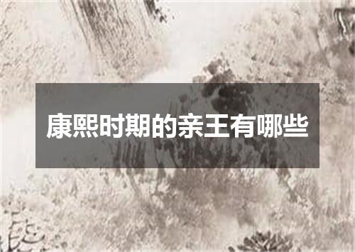 康熙时期的亲王有哪些