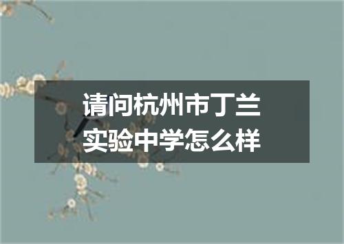 请问杭州市丁兰实验中学怎么样