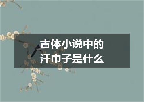 古体小说中的汗巾子是什么