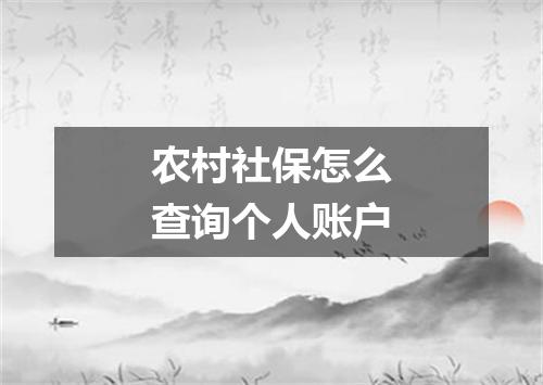 农村社保怎么查询个人账户