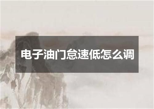 电子油门怠速低怎么调