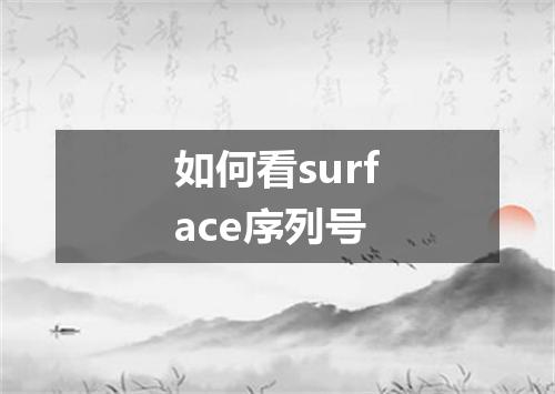 如何看surface序列号