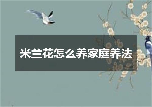 米兰花怎么养家庭养法