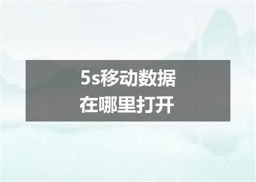 5s移动数据在哪里打开