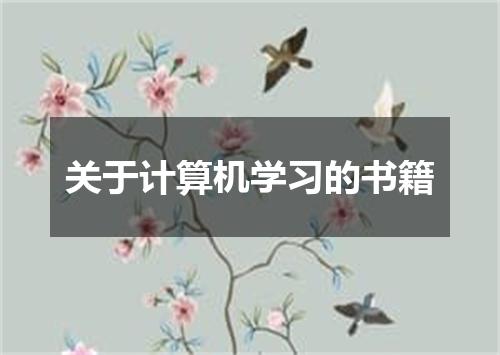 关于计算机学习的书籍