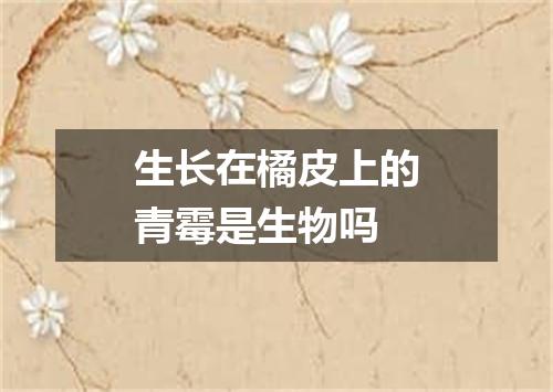 生长在橘皮上的青霉是生物吗