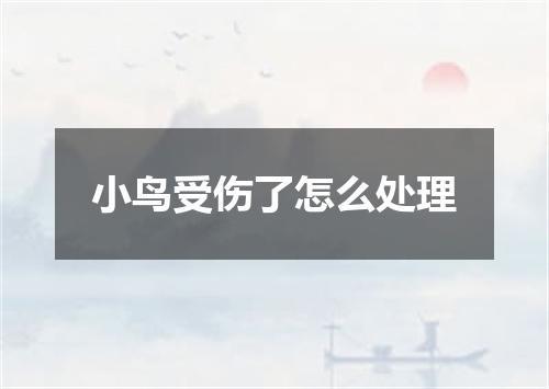 小鸟受伤了怎么处理