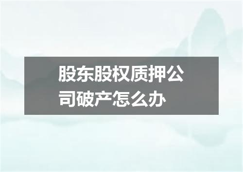 股东股权质押公司破产怎么办