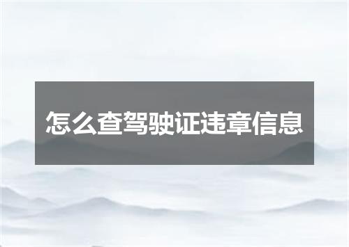 怎么查驾驶证违章信息