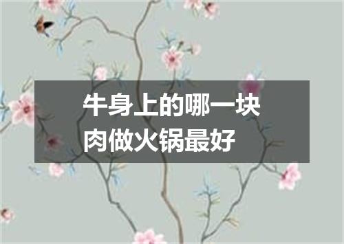 牛身上的哪一块肉做火锅最好