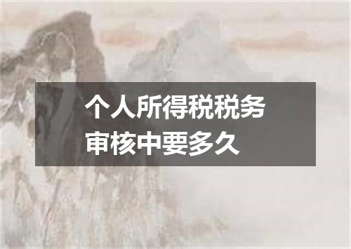 个人所得税税务审核中要多久