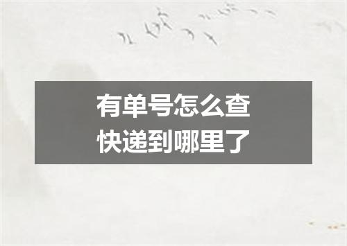 有单号怎么查快递到哪里了