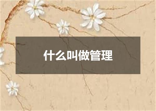 什么叫做管理