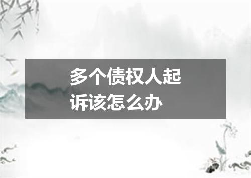 多个债权人起诉该怎么办
