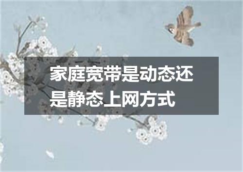 家庭宽带是动态还是静态上网方式