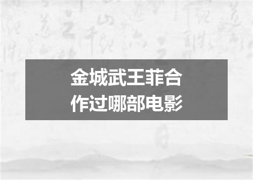 金城武王菲合作过哪部电影