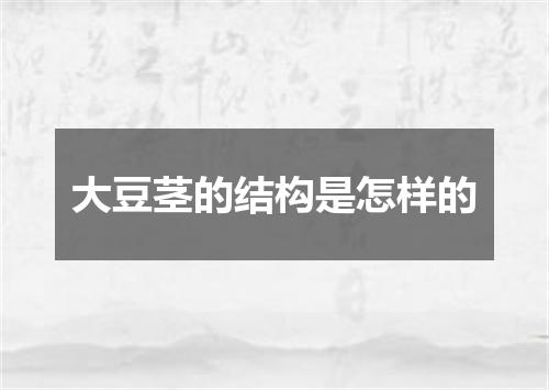 大豆茎的结构是怎样的