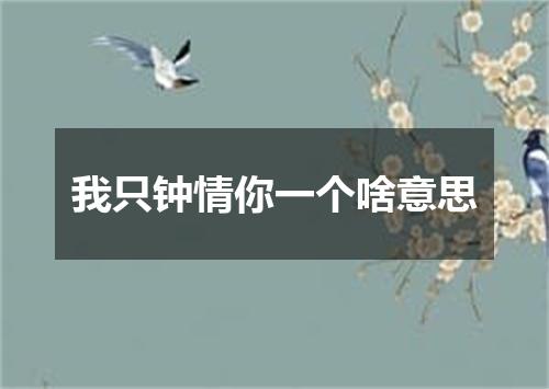 我只钟情你一个啥意思